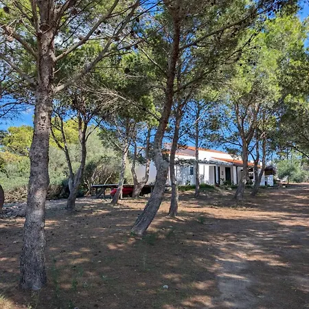 Countryloft-lemareedicarloforte