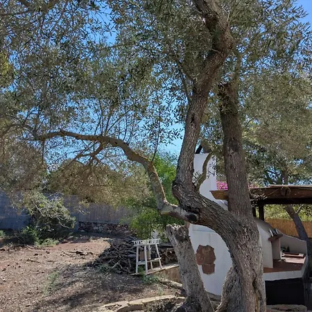 Countryloft-lemareedicarloforte