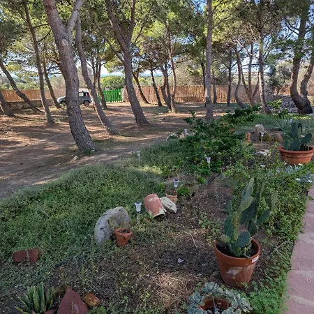 Countryloft-lemareedicarloforte